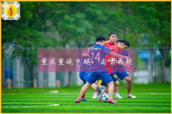 重庆重返中超，龙啸再起