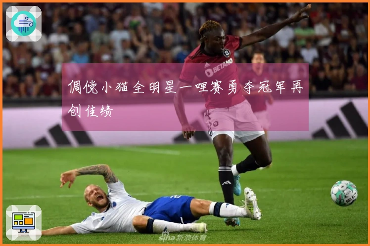 倜傥小猫全明星一哩赛勇夺冠军再创佳绩
